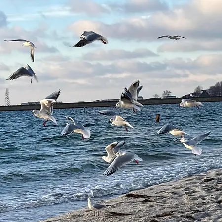 Oceanview Baltyk -bezplatny Parking グディニャ