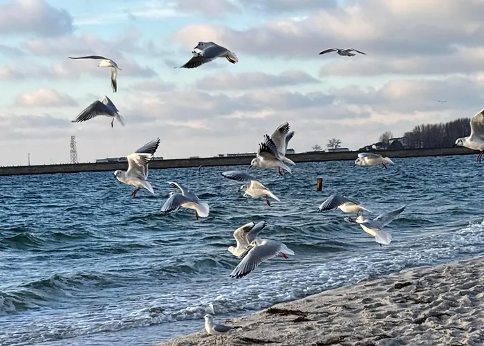 Oceanview Baltyk -bezplatny Parking グディニャ